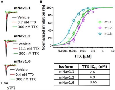 Pharmacological determination of the fractional block of Nav channels required to impair neuronal excitability and ex vivo seizures